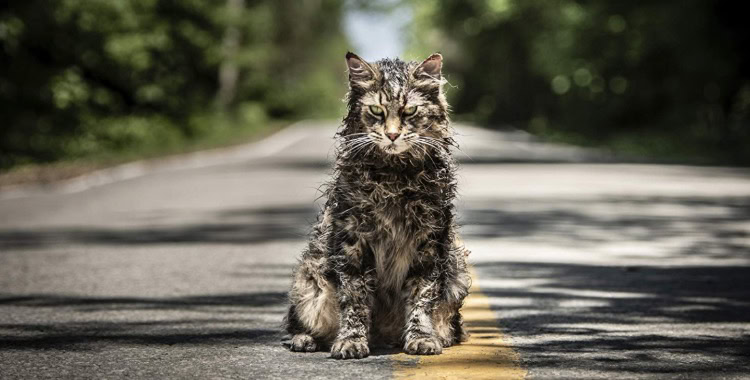 Friedhof der Kuscheltiere – Pet Sematary